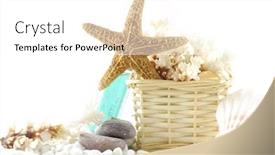  Presentation with sea shells - Beautiful presentation design featuring sea spa elements with white pebbles and starfish and sea shells backdrop and a white colored foreground