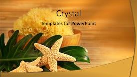  Presentation with water leaf - Presentation design with sea sponge and wooden bowl background and a  colored foreground