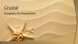  Presentation with starfish - Colorful PPT layouts enhanced with sea star - starfish on a sand beach backdrop and a lemonade colored foreground