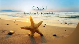  Presentation with summer time - Audience pleasing slides consisting of sea star - starfish on the beach summer backdrop and a light blue colored foreground