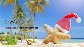  Presentation with starfish - Slides featuring grilled pork chops with tomato leaves lettuce and ketchup on plate background and a light gray colored foreground