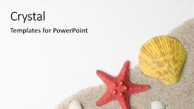  Presentation with memories - Beautiful presentation theme featuring sea star - vacation memories from beach backdrop and a white colored foreground