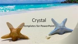  Presentation with waves - Slide set having sea star - waves sand scene background and a soft green colored foreground