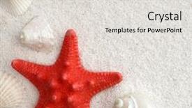  Presentation with white sand - Slide deck featuring sea star - white seashells and red seastar background and a light gray colored foreground