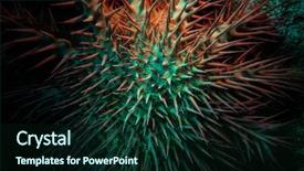  Presentation with crown thorns - Cool new presentation with sea star acanthaster plancii echinoderm backdrop and a wine colored foreground