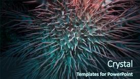  Presentation with crown thorns - Colorful slide deck enhanced with sea star acanthaster plancii echinoderm backdrop and a ocean colored foreground