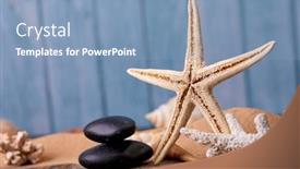  Presentation with sea shells - Slide deck having sea-star-and-shells background and a teal colored foreground