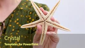  Presentation with star - Theme with sea-star-in-the-hand background and a tawny brown colored foreground