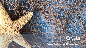  Presentation with sea fishing - Slides having sea star on fishing net studio shot background and a ocean colored foreground