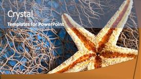  Presentation with sea fishing - Cool new theme with sea star on fishing net backdrop and a ocean colored foreground