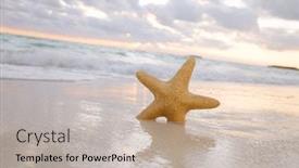  Presentation with starfish - Audience pleasing PPT theme consisting of sea-star-starfish-on-beach backdrop and a mint green colored foreground