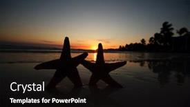  Presentation with starfish - Beautiful theme featuring sea-star-starfish-silhouette backdrop and a  colored foreground