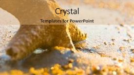  Presentation with star - Slide set consisting of sea starlet fallen morning star background and a  colored foreground