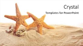  Presentation with shells stars - Slide deck featuring sea stars and sea shells background and a white colored foreground