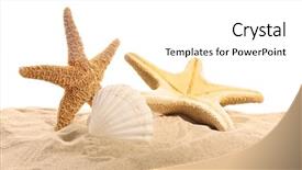  Presentation with shells stars - Slide set having sea stars and sea shells background and a white colored foreground