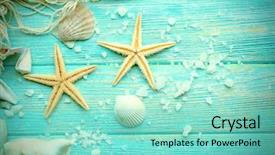  Presentation with shells stars - Presentation design featuring shells on wooden background background and a seafoam green colored foreground