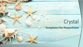  Presentation with sea shells - Presentation theme with sea stars and shells background and a cool aqua colored foreground
