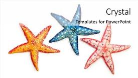  Presentation with stars - Audience pleasing PPT theme consisting of three different sauces served on a wooden table along first sauce is made from sour cream and smoked peppers second sauce is made from olives and smoked tomatoes and third sauce is made from sour cream with ham backdrop and a tawny brown colored foreground.