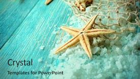  Presentation with salt - Colorful presentation enhanced with sea stars on sea salt backdrop and a seafoam green colored foreground