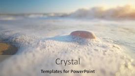  Presentation with wave - Audience pleasing presentation design consisting of sea-stone-and-wave-foam backdrop and a soft green colored foreground