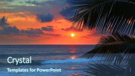  Presentation with palm leaves - Beautiful PPT layouts featuring sea sunset and palm leaves backdrop and a  colored foreground