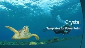  Presentation with scuba diving - Cool new presentation theme with sea turtle and scuba diver backdrop and a ocean colored foreground