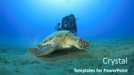  Presentation with turtle - Slides enhanced with sea-turtle-and-woman-scuba background and a ocean colored foreground