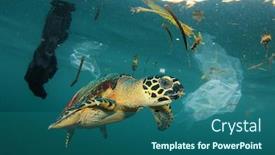 Presentation with sea plastic - Beautiful presentation featuring sea-turtle-in-polluted-ocean backdrop and a ocean colored foreground