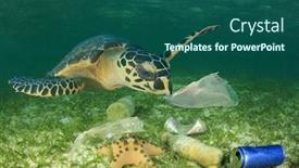  Presentation with polluted - Slide deck with sea-turtle-in-polluted-ocean background and a ocean colored foreground