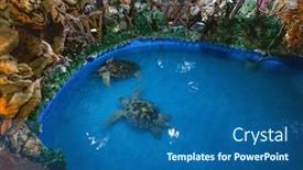  Presentation with sea water - PPT layouts enhanced with sea-turtle-swim background and a ocean colored foreground