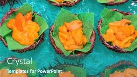  Presentation with sea shells - Presentation theme featuring sea-urchin-corals-or-uni background and a ocean colored foreground