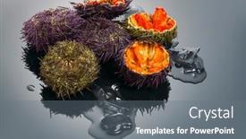  Presentation with mediterranean food - Theme featuring sea-urchin-rotating-over-black background and a gray colored foreground