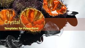  Presentation with mediterranean food - Presentation having sea-urchin-rotating-over-gray background and a tawny brown colored foreground
