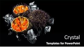  Presentation with mediterranean food - Theme featuring sea-urchin-with-caviar-close background and a black colored foreground