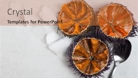  Presentation with mediterranean food - Presentation design consisting of sea-urchin-with-caviar-close background and a red colored foreground