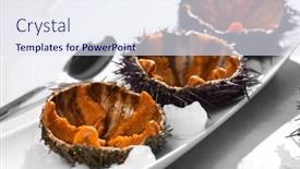  Presentation with mediterranean food - PPT layouts with sea-urchin-with-caviar-close background and a sky blue colored foreground