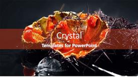  Presentation with mediterranean food - Presentation theme with sea-urchin-with-caviar-close background and a  colored foreground