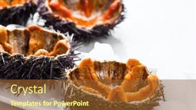  Presentation with white sea urchin - Presentation theme featuring sea-urchin-with-caviar-close background and a tawny brown colored foreground
