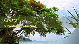  Presentation with luxury resort - Audience pleasing PPT layouts consisting of sea view balcony with exotic plants luxury resort backdrop and a tawny brown colored foreground