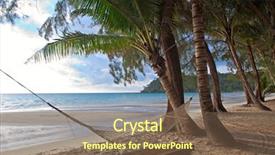  Presentation with beach palm tree wedding - Presentation having sea water under palm tree background and a violet colored foreground