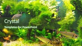  Presentation with weed - Cool new PPT layouts with sea weed - fish in the algae underwater backdrop and a tawny brown colored foreground