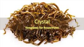  Presentation with weed - Amazing PPT layouts having sea weed - sliced laminaria isolated backdrop and a  colored foreground