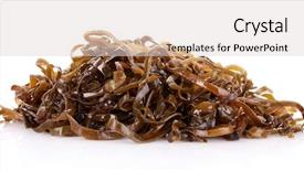  Presentation with brown sugar isolated on white - Audience pleasing presentation design consisting of sea weed - sliced laminaria isolated backdrop and a  colored foreground