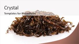  Presentation with background - Beautiful presentation design featuring sea weed - sliced laminaria isolated backdrop and a  colored foreground