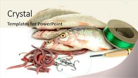  Presentation with tool belt tools - PPT theme featuring sea worms - fishes and fishing tools isolated background and a lemonade colored foreground