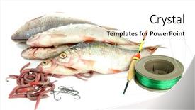  Presentation with fishing - Cool new presentation theme with sea worms - fishes and fishing tools isolated backdrop and a white colored foreground