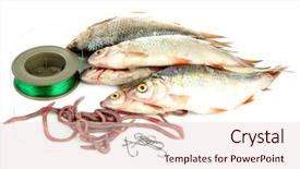  Presentation with tool belt tools - Amazing slide set having sea worms - fishes and fishing tools isolated backdrop and a lemonade colored foreground