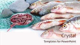  Presentation with fish net - Theme having sea worms - fishes and net isolated background and a  colored foreground