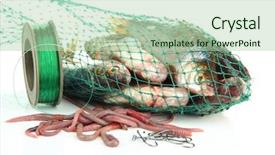 Presentation with sea fishing - Amazing presentation design having sea worms - fishes in fishing net isolated backdrop and a mint green colored foreground