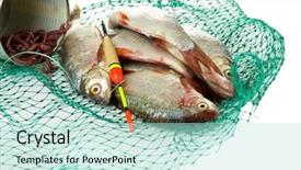  Presentation with fishing net - Slide deck having sea worms - fishes in fishing net isolated background and a soft green colored foreground